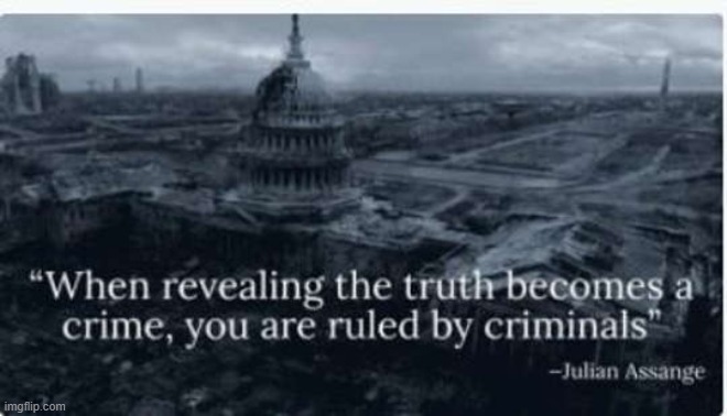 Great Quote!! | image tagged in quotes,julian assange | made w/ Imgflip meme maker