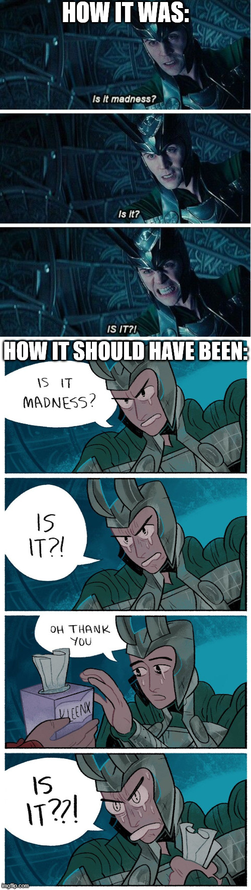 I just want to congratulate the artist for this hysterical comic. | HOW IT WAS:; HOW IT SHOULD HAVE BEEN: | image tagged in thor,loki | made w/ Imgflip meme maker