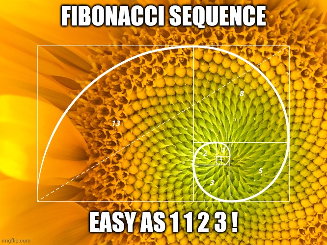 Fibonacci has one A one B two Cs designed by an OG | FIBONACCI SEQUENCE; EASY AS 1 1 2 3 ! | image tagged in numbers,math,intelligent design | made w/ Imgflip meme maker