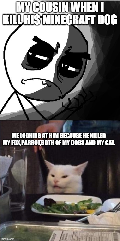 So uh... yeah.... | MY COUSIN WHEN I KILL HIS MINECRAFT DOG; ME LOOKING AT HIM BECAUSE HE KILLED MY FOX,PARROT,BOTH OF MY DOGS AND MY CAT. | image tagged in what have you done,memes,woman yelling at cat | made w/ Imgflip meme maker