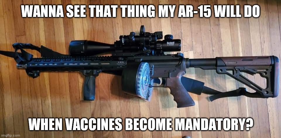 WANNA SEE THAT THING MY AR-15 WILL DO; WHEN VACCINES BECOME MANDATORY? | image tagged in ar15,vaccines,funny,memes,politics,covid | made w/ Imgflip meme maker