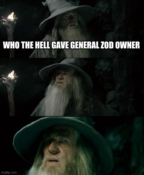 Confused Gandalf | WHO THE HELL GAVE GENERAL ZOD OWNER | image tagged in memes,confused gandalf | made w/ Imgflip meme maker