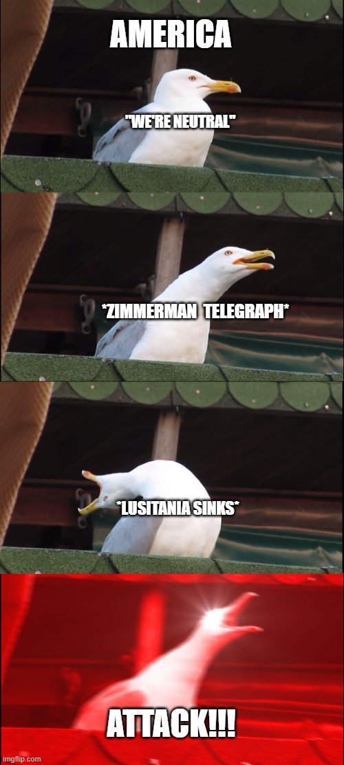 Inhaling Seagull | AMERICA; "WE'RE NEUTRAL"; *ZIMMERMAN  TELEGRAPH*; *LUSITANIA SINKS*; ATTACK!!! | image tagged in memes,inhaling seagull | made w/ Imgflip meme maker