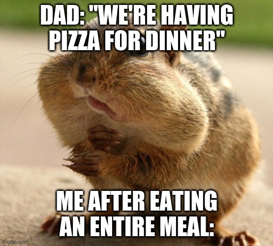 Awkward chipmunk | DAD: "WE'RE HAVING PIZZA FOR DINNER"; ME AFTER EATING AN ENTIRE MEAL: | image tagged in awkward chipmunk | made w/ Imgflip meme maker