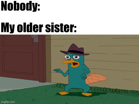 Haven't we all been there? |  Nobody:; My older sister: | image tagged in phineas and ferb,siblings | made w/ Imgflip meme maker