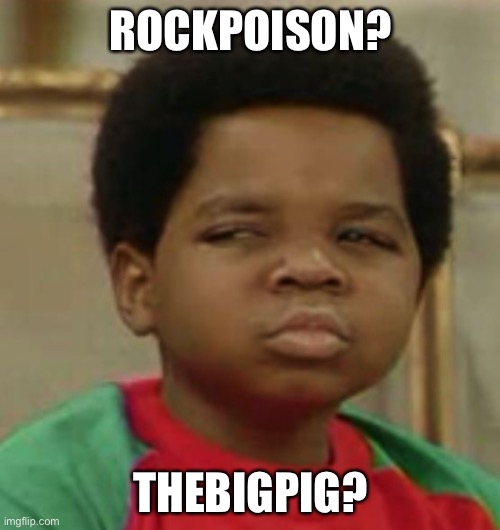Suspicious | ROCKPOISON? THEBIGPIG? | image tagged in suspicious | made w/ Imgflip meme maker