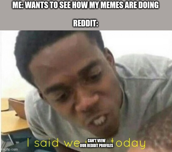 reddit feels broken to me | ME: WANTS TO SEE HOW MY MEMES ARE DOING
 
REDDIT:; CAN'T VIEW OUR REDDIT PROFILES | image tagged in i said we ____ today,reddit | made w/ Imgflip meme maker