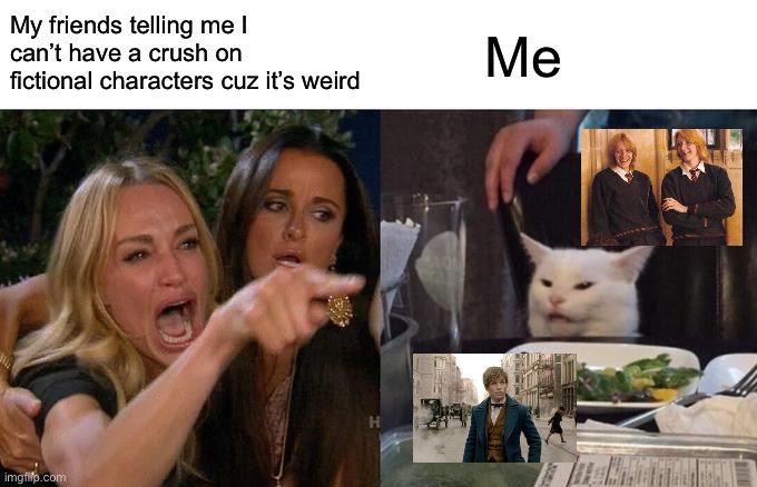 Yeah Jack! | My friends telling me I can’t have a crush on fictional characters cuz it’s weird; Me | image tagged in memes,woman yelling at cat | made w/ Imgflip meme maker