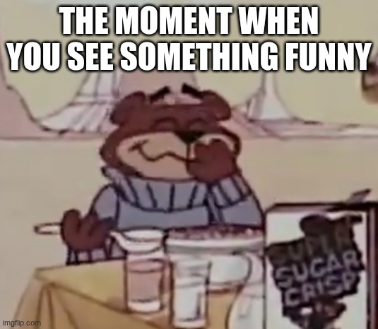 Sugar Bear giggling | THE MOMENT WHEN YOU SEE SOMETHING FUNNY | image tagged in sugar bear giggling | made w/ Imgflip meme maker