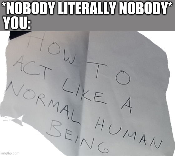 YOU:; *NOBODY LITERALLY NOBODY* | image tagged in me,normal conversation,how to act like a normal human | made w/ Imgflip meme maker