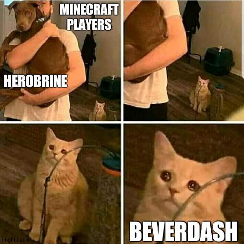 BeverDash is underrated | MINECRAFT PLAYERS; HEROBRINE; BEVERDASH | image tagged in sad cat holding dog,minecraft,beverdash,herobrine | made w/ Imgflip meme maker