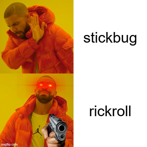 Drake Hotline Bling | stickbug; rickroll | image tagged in memes,drake hotline bling | made w/ Imgflip meme maker