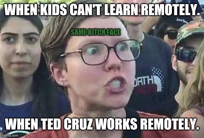 Triggered Liberal | WHEN KIDS CAN'T LEARN REMOTELY. WHEN TED CRUZ WORKS REMOTELY. SAME BITCH FACE | image tagged in triggered liberal | made w/ Imgflip meme maker
