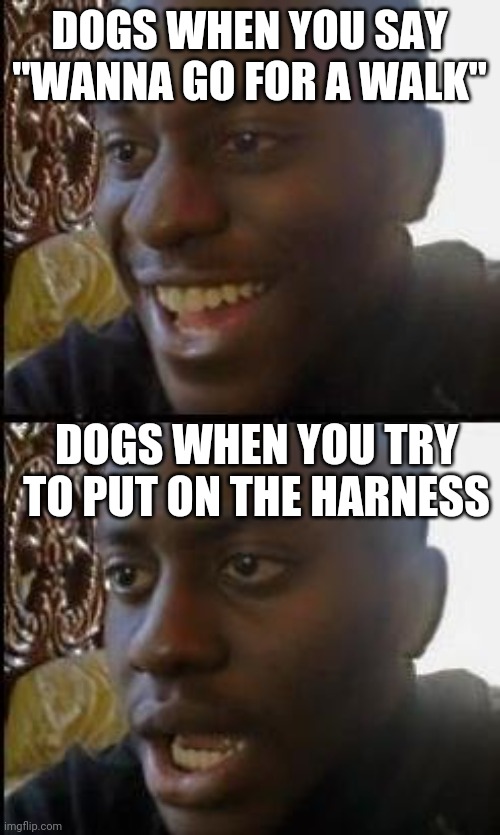 come on doggo its one or the other... | DOGS WHEN YOU SAY "WANNA GO FOR A WALK"; DOGS WHEN YOU TRY TO PUT ON THE HARNESS | image tagged in disappointed black guy | made w/ Imgflip meme maker