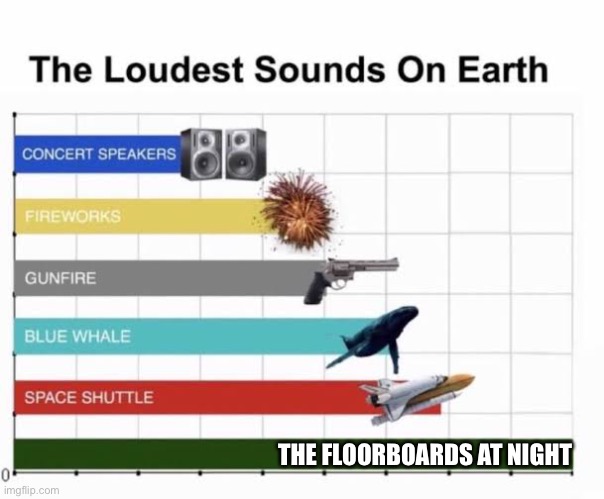 The Loudest Sounds on Earth |  THE FLOORBOARDS AT NIGHT | image tagged in the loudest sounds on earth | made w/ Imgflip meme maker