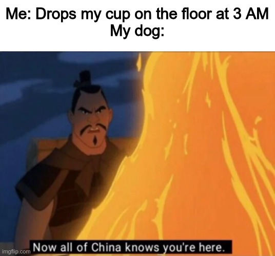 Now all of China knows you're here | Me: Drops my cup on the floor at 3 AM
My dog: | image tagged in now all of china knows you're here | made w/ Imgflip meme maker