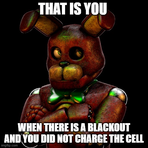 Blablabla | THAT IS YOU; WHEN THERE IS A BLACKOUT AND YOU DID NOT CHARGE THE CELL | image tagged in fnaf,literally | made w/ Imgflip meme maker