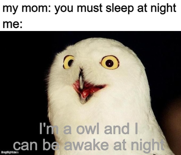 I wake up at night | my mom: you must sleep at night; me:; I'm a owl and I can be awake at night | image tagged in orly owl,owl,funny,night | made w/ Imgflip meme maker