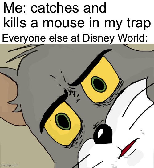 Ah heck I messed up | Me: catches and kills a mouse in my trap; Everyone else at Disney World: | image tagged in memes,unsettled tom | made w/ Imgflip meme maker