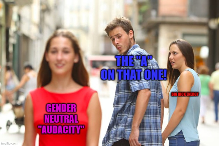 Our First Team Meme! | THE "A" ON THAT ONE! BIG DICK ENERGY; GENDER NEUTRAL "AUDACITY" | image tagged in memes,distracted boyfriend | made w/ Imgflip meme maker