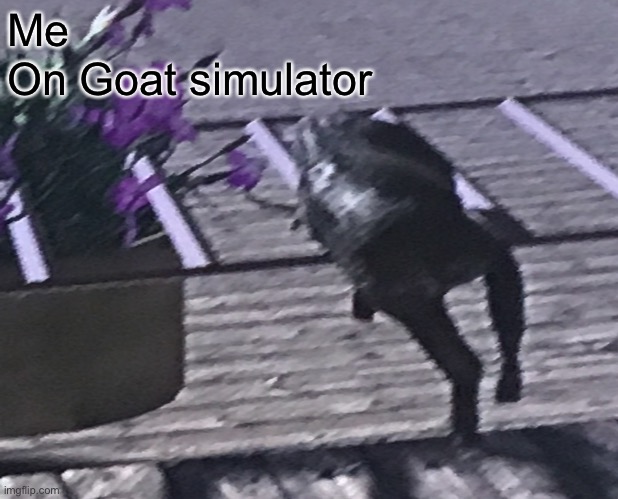 Lol | Me; On Goat simulator | image tagged in lol | made w/ Imgflip meme maker