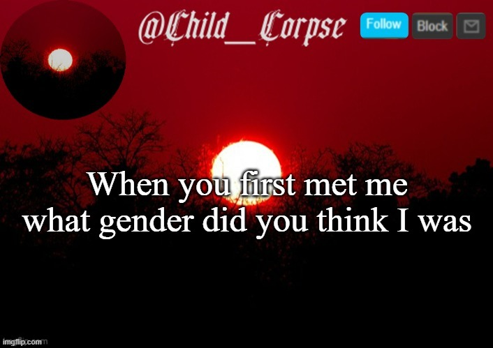 Child_Corpse announcement template | When you first met me what gender did you think I was | image tagged in child_corpse announcement template | made w/ Imgflip meme maker