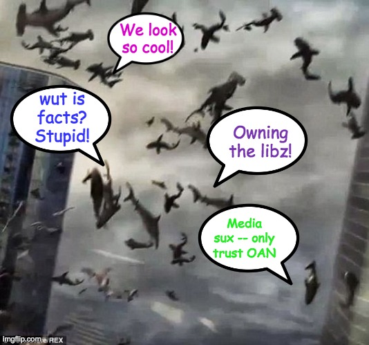 Sharknado | We look so cool! Owning the libz! wut is facts? Stupid! Media sux -- only trust OAN | image tagged in sharknado | made w/ Imgflip meme maker