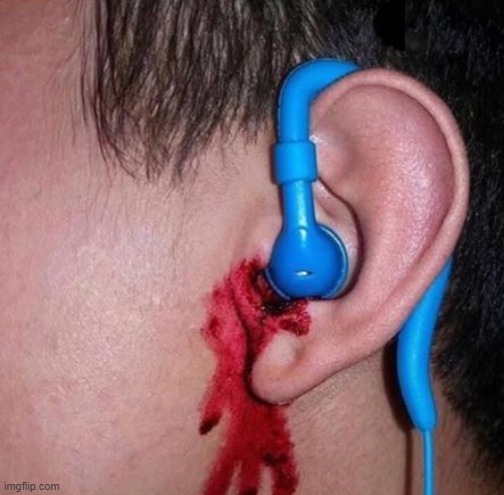 Ear bleed | image tagged in ear bleed | made w/ Imgflip meme maker