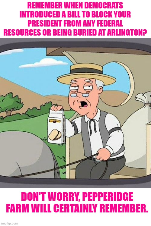 Just Wait Until Republicans Retake the House and Senate | REMEMBER WHEN DEMOCRATS INTRODUCED A BILL TO BLOCK YOUR PRESIDENT FROM ANY FEDERAL RESOURCES OR BEING BURIED AT ARLINGTON? DON'T WORRY, PEPPERIDGE FARM WILL CERTAINLY REMEMBER. | image tagged in memes,pepperidge farm remembers,trump impeachment | made w/ Imgflip meme maker