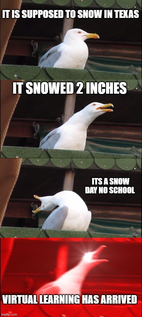AIM FOR THE HEAD NOT THE BACK | IT IS SUPPOSED TO SNOW IN TEXAS; IT SNOWED 2 INCHES; ITS A SNOW DAY NO SCHOOL; VIRTUAL LEARNING HAS ARRIVED | image tagged in memes,inhaling seagull | made w/ Imgflip meme maker
