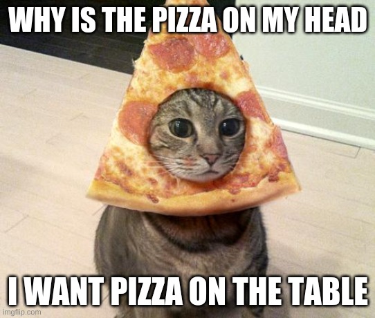 Pizza Madness | WHY IS THE PIZZA ON MY HEAD; I WANT PIZZA ON THE TABLE | image tagged in pizza cat | made w/ Imgflip meme maker