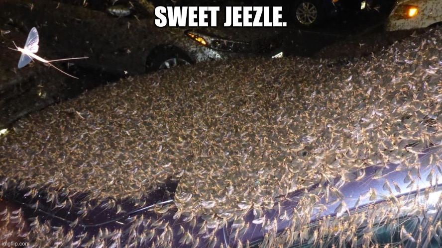 It’s best to burn the entire car. | SWEET JEEZLE. | made w/ Imgflip meme maker