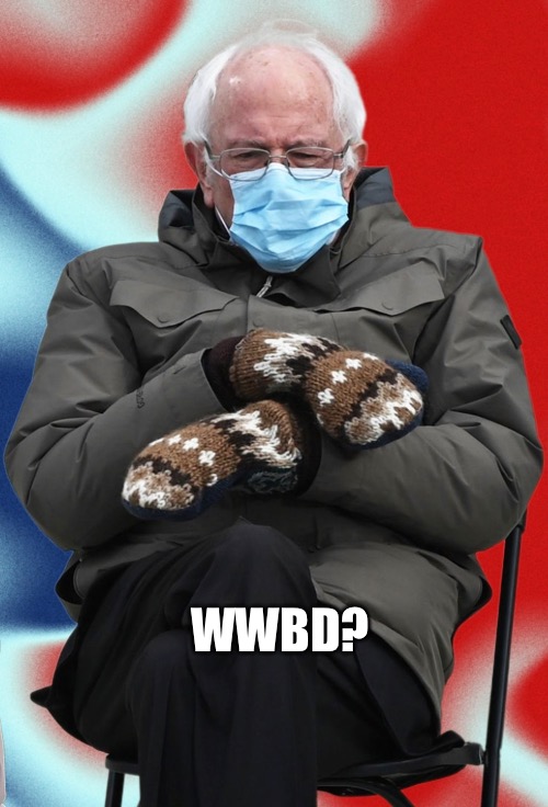 What would Bernie do? | WWBD? | image tagged in bernie,bernie sanders,bernie mittens,bernie sanders mittens,mittens | made w/ Imgflip meme maker