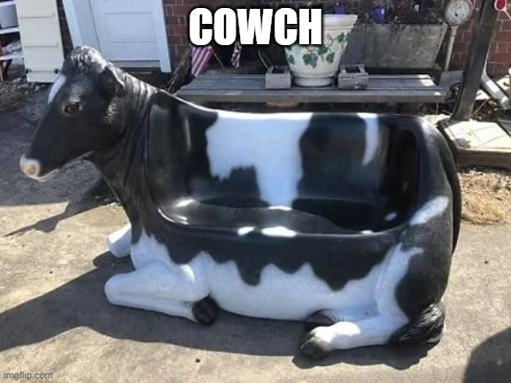 COWCH | image tagged in cow,couch | made w/ Imgflip meme maker