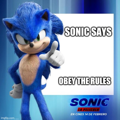 Movie Sonic Says: Obey the Rules | SONIC SAYS; OBEY THE RULES | image tagged in movie sonic says | made w/ Imgflip meme maker