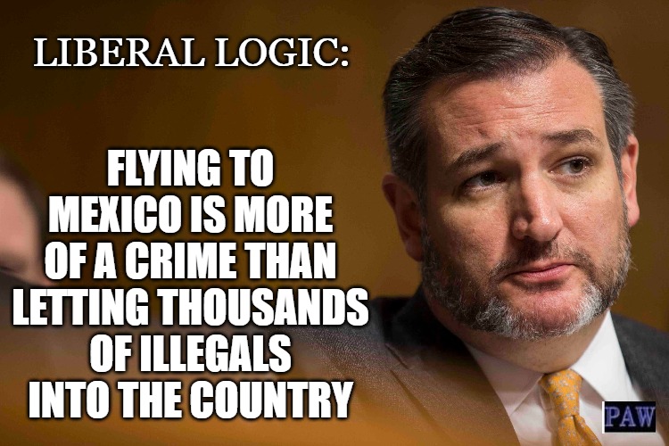 Liberal Logic | LIBERAL LOGIC:; FLYING TO MEXICO IS MORE OF A CRIME THAN LETTING THOUSANDS OF ILLEGALS INTO THE COUNTRY | image tagged in stupid,liberal,dumb | made w/ Imgflip meme maker