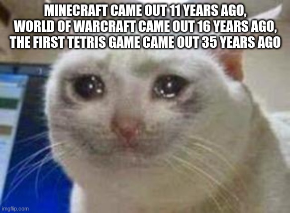 how old are you? | MINECRAFT CAME OUT 11 YEARS AGO, WORLD OF WARCRAFT CAME OUT 16 YEARS AGO, THE FIRST TETRIS GAME CAME OUT 35 YEARS AGO | image tagged in sad cat | made w/ Imgflip meme maker