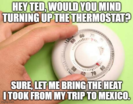 Ted is also not Mother Nature.... | HEY TED, WOULD YOU MIND TURNING UP THE THERMOSTAT? SURE, LET ME BRING THE HEAT I TOOK FROM MY TRIP TO MEXICO. | image tagged in thermostat,mother nature,ted,turn up the heat,cancun | made w/ Imgflip meme maker