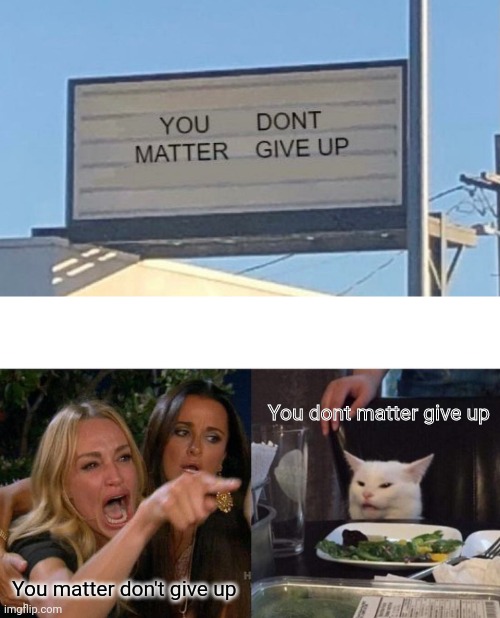 You dont matter give up; You matter don't give up | image tagged in memes,woman yelling at cat,memes | made w/ Imgflip meme maker