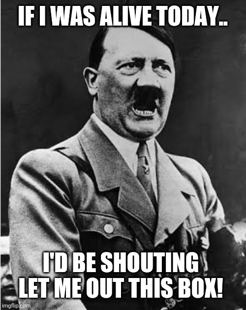 IF I WAS ALIVE TODAY.. I'D BE SHOUTING
LET ME OUT THIS BOX! | image tagged in hitler | made w/ Imgflip meme maker