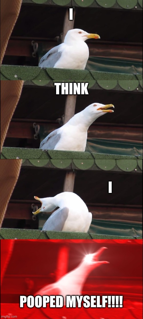 i think i pooped my self | I; THINK; I; POOPED MYSELF!!!! | image tagged in memes,inhaling seagull | made w/ Imgflip meme maker