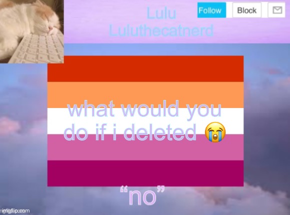 luluthecatnerd announcement template | what would you do if i deleted 😭 | image tagged in sobbing | made w/ Imgflip meme maker