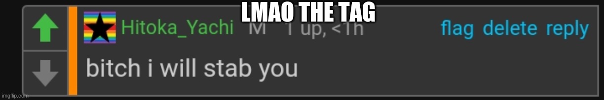 LMAO THE TAG | image tagged in yachi stab | made w/ Imgflip meme maker