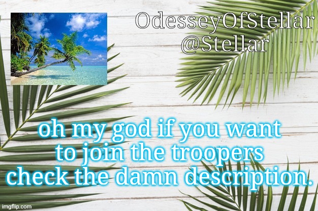 JESUS CHRIST I AM TIRED OF ANSWERING THESE QUESTIONS STAHPPPP | oh my god if you want to join the troopers check the damn description. | image tagged in palms | made w/ Imgflip meme maker