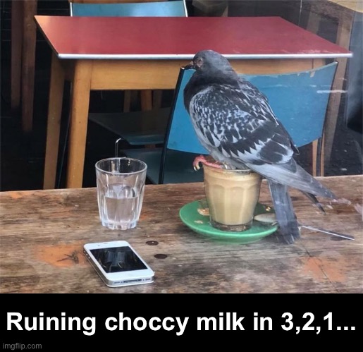 Ruining choccy milk in 3,2,1... | made w/ Imgflip meme maker