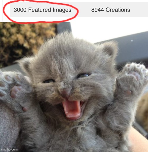 I have reached 3000 images! | image tagged in yay kitty,memes,accomplishment,imgflip,cool | made w/ Imgflip meme maker