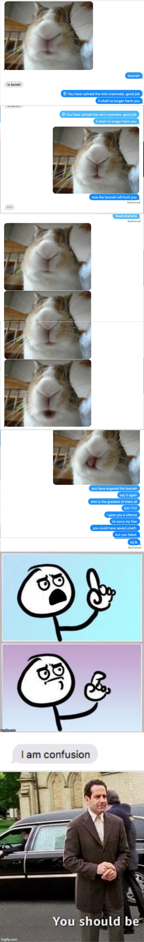 This is the greatest conversation of my life by far | image tagged in umm,you should be ashamed of yourself,hol up,excuse me wtf | made w/ Imgflip meme maker