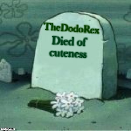 Here Lies X | Died of cuteness TheDodoRex | image tagged in here lies x | made w/ Imgflip meme maker