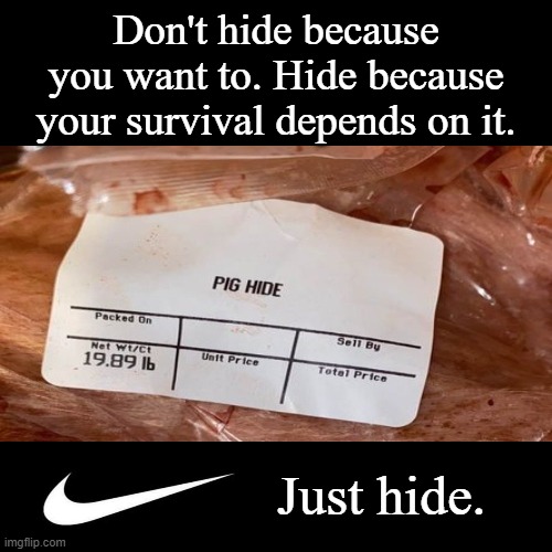 remember when this was a thing? | Don't hide because you want to. Hide because your survival depends on it. Just hide. | image tagged in nike,just do it,hide,is this a pigeon | made w/ Imgflip meme maker