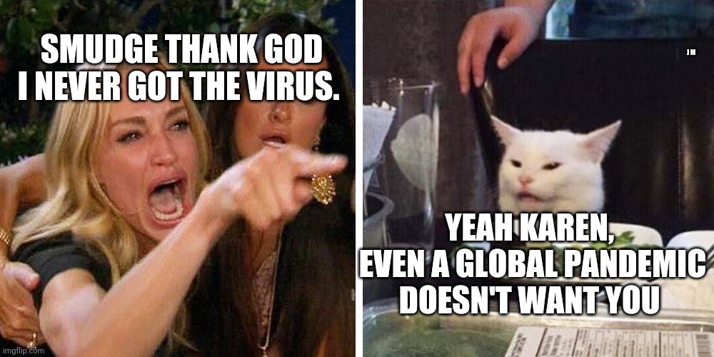 Smudge the cat | J M; SMUDGE THANK GOD I NEVER GOT THE VIRUS. YEAH KAREN,  EVEN A GLOBAL PANDEMIC DOESN'T WANT YOU | image tagged in smudge the cat | made w/ Imgflip meme maker